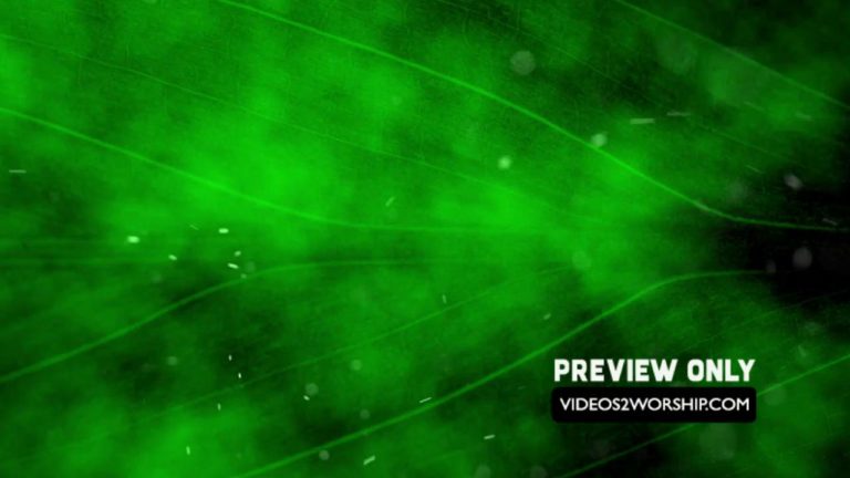 Read more about the article Green Palm Sunday Moving Worship Loop
