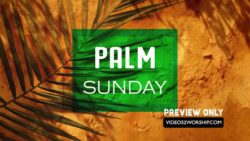 Read more about the article Palm Sunday Text Motion Worship Loop