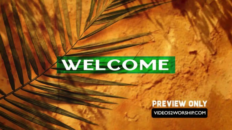 Read more about the article Still: Palm Welcome Image