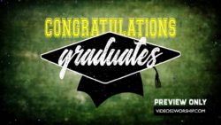 Read more about the article Graduation Motion Background Graphics Loop