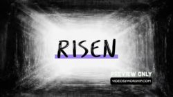 Read more about the article Still: Risen Tomb Light