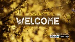 Read more about the article Still: Golden Leaves Welcome