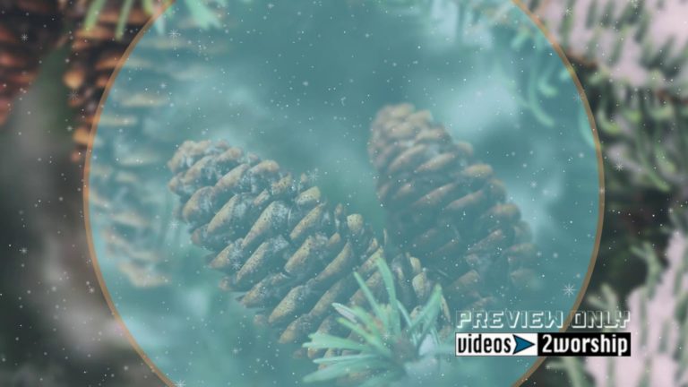 Read more about the article Evergreen Cones And Snow Holidays Motion