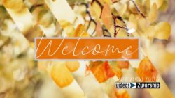Read more about the article Welcome Autumn Golden Leaves Background