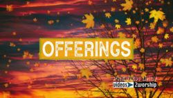 Read more about the article Tree And Flying Leaves Autumn Offerings