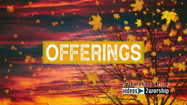 Read more about the article Tree And Flying Leaves Autumn Offerings
