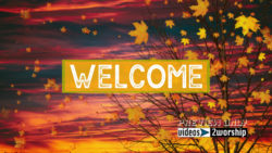 Read more about the article Tree And Flying Leaves Fall Welcome Text