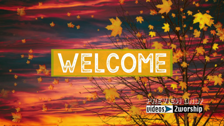 Read more about the article Still: Fall Tree Welcome