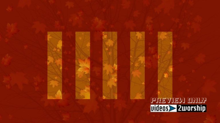 Read more about the article Still: Fall Worship Slide