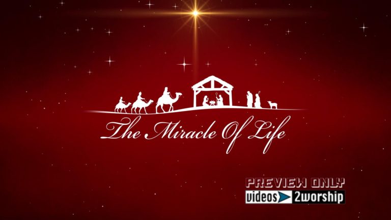 Read more about the article Miracle Of Life Christmas Worship Graphics