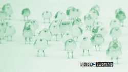 Read more about the article Birds In The Snow Winter Holidays Motion