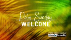 Read more about the article Palm Sunday Welcome Title Graphics
