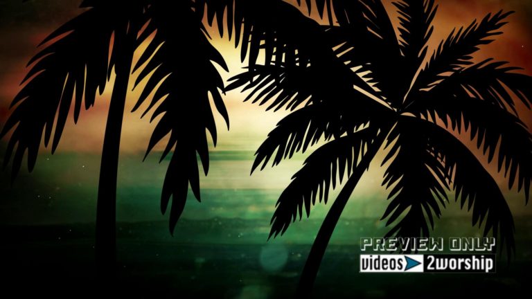 Read more about the article Palm Trees Silhouettes Motion Worship Video