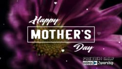 Read more about the article Mother’s Day Large Flower Title Background