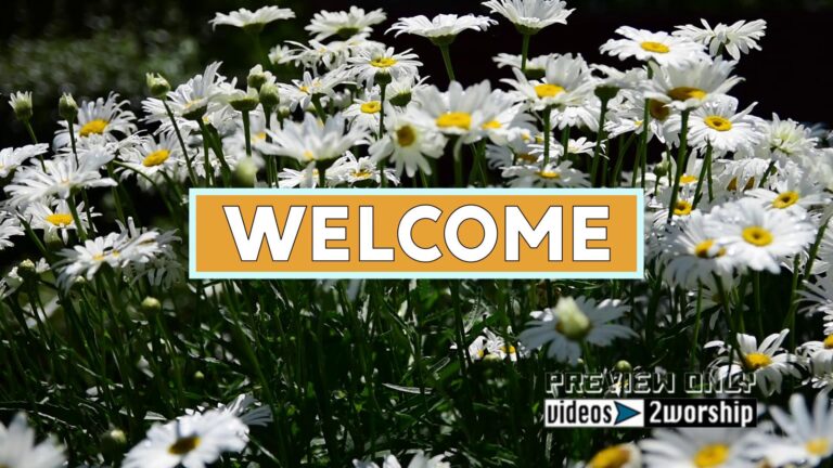Read more about the article Daisies Flowers Welcome Title Backdrop