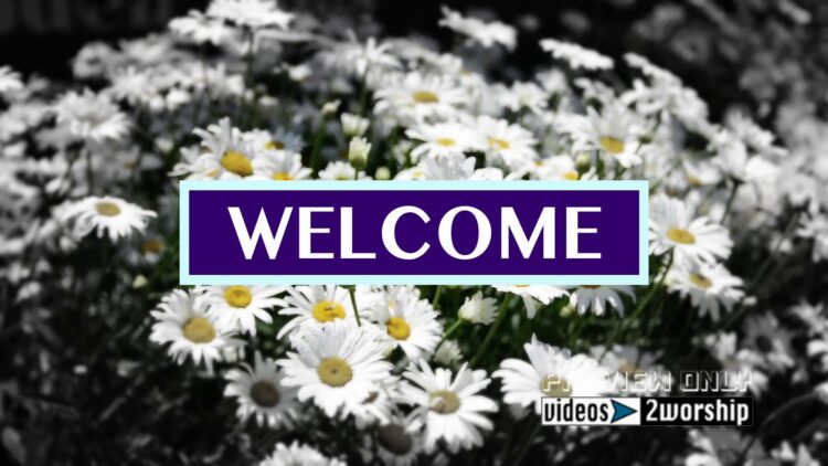 Welcome Text Over Flowers Background | Videos2Worship