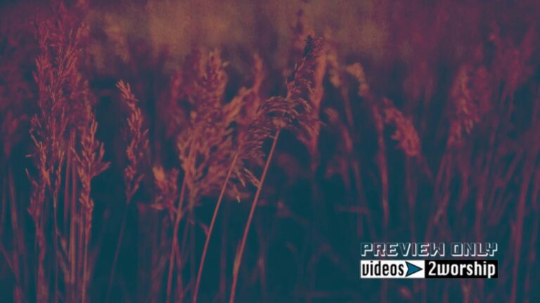 Read more about the article Textured Nature Motion Worship Backdrop