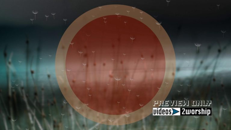 Read more about the article Flying Dandelion Seeds Motion Backdrop