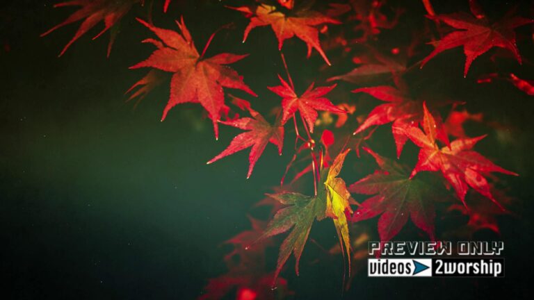 Read more about the article Fall Colorful Leaves Motion Worship