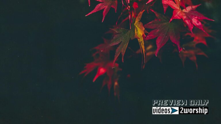 Read more about the article Autumn Leaves Church Motion Graphics