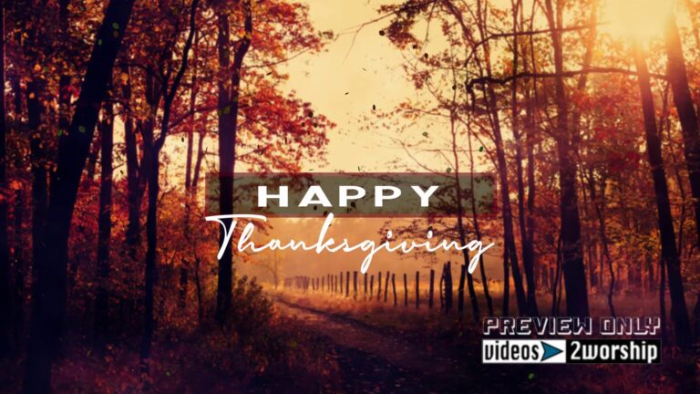 Read more about the article Still: Happy Thanksgiving