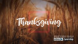 Read more about the article Thanksgiving Text And Wheat Field Motion