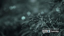 Read more about the article Winter Holidays Motion Graphics Loop