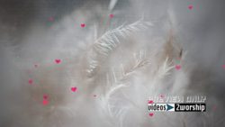 Read more about the article Hearts Over A Textured Feathers Bakground