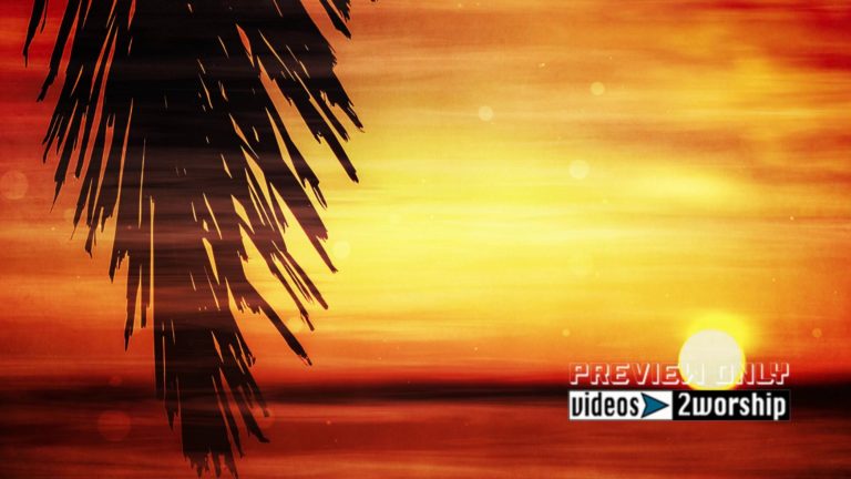 Read more about the article Palm Branch At Sunset Worship Motion