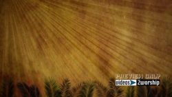 Read more about the article Palm Sunday Waving Branches Motion Loop