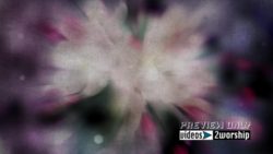 Read more about the article Spring And Summer Flower Blur Motion