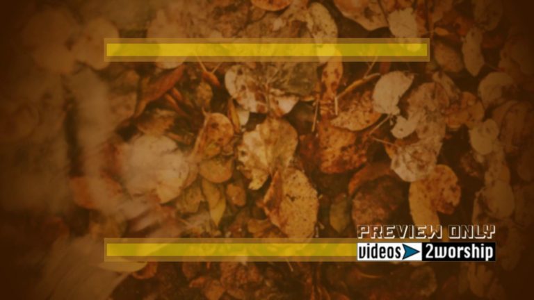 Read more about the article Autumn Fallen Leaves Motion Worship Loop