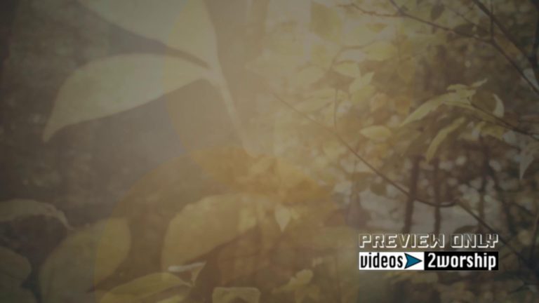 Read more about the article Fall Foliage Worship Motion Video Background