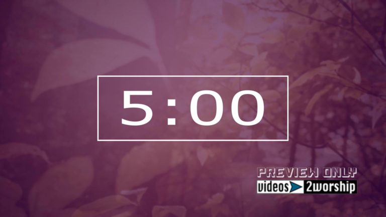 Read more about the article Autumn Trees Five Minutes Countdown Video