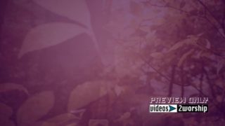 Read more about the article Fall Trees Video Worship Background Loop