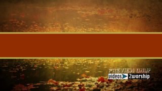 Read more about the article Leaves On Water Autumn Title Ready Loop