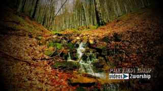 Read more about the article Creek In The Forest During Fall Season