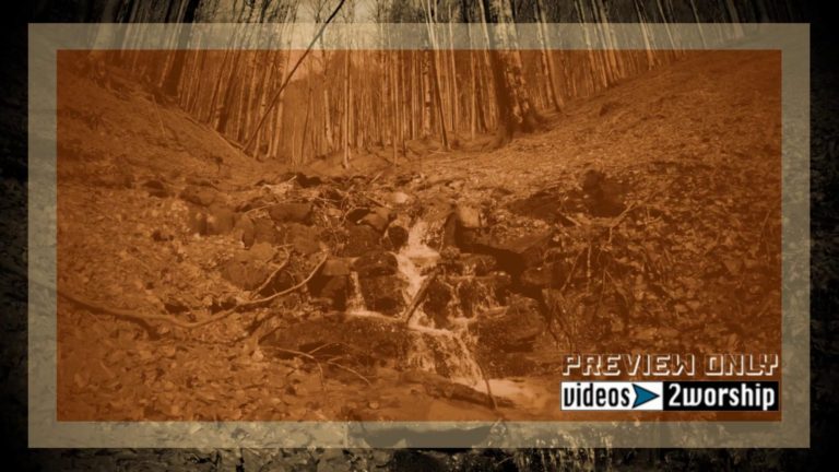 Read more about the article In The Forest Fall Motion Worship Graphics