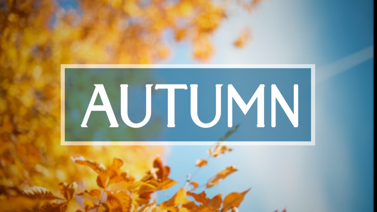 Autumn Worship Backgrounds More Thumb