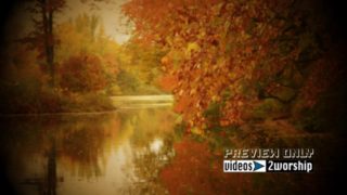 Read more about the article Colorful Autumn Trees By The River Loop