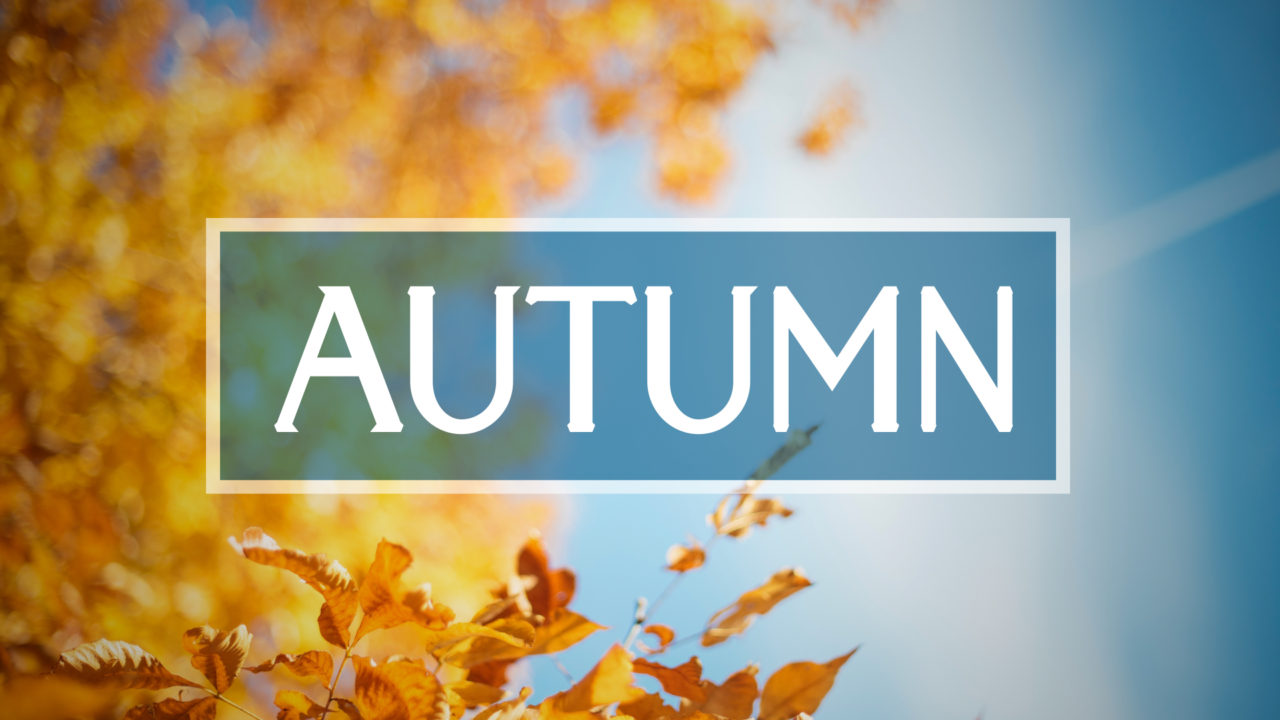 autumn 2 00009