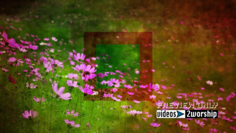 Read more about the article Wild Nature Flowers Motion Worship Loop