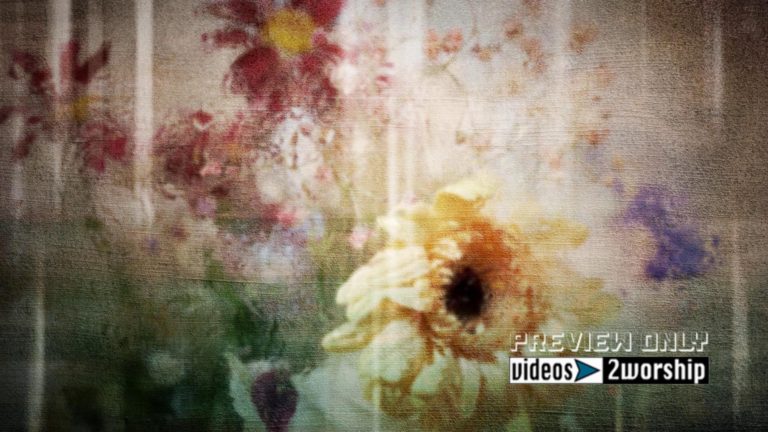 Read more about the article Mother’s Day Church Motion Worship Graphics