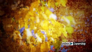 Read more about the article Fall Foliage From Colorado Motion Loop
