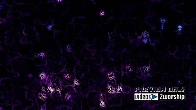 Read more about the article Purple Flashing Light Church Motion Loop