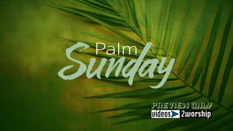 Read more about the article Palm Sunday Title Worship Motion Graphics