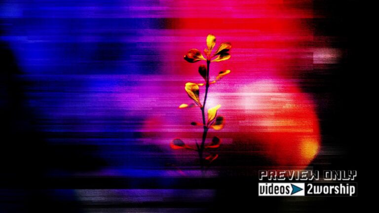 Read more about the article Summer Plants Worship Motion Background