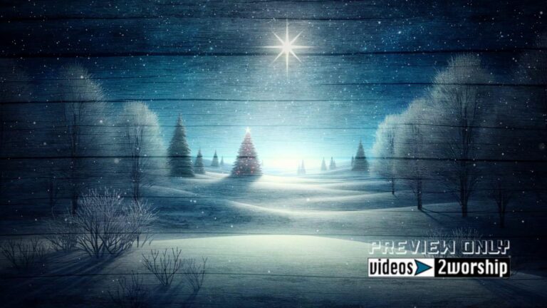 Read more about the article Winter Holidays Outdoors Nature Scene Video