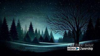 Read more about the article Trees During Winter And Falling Snow Motion