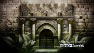 Read more about the article Palm Sunday Jerusalem Gate Motion